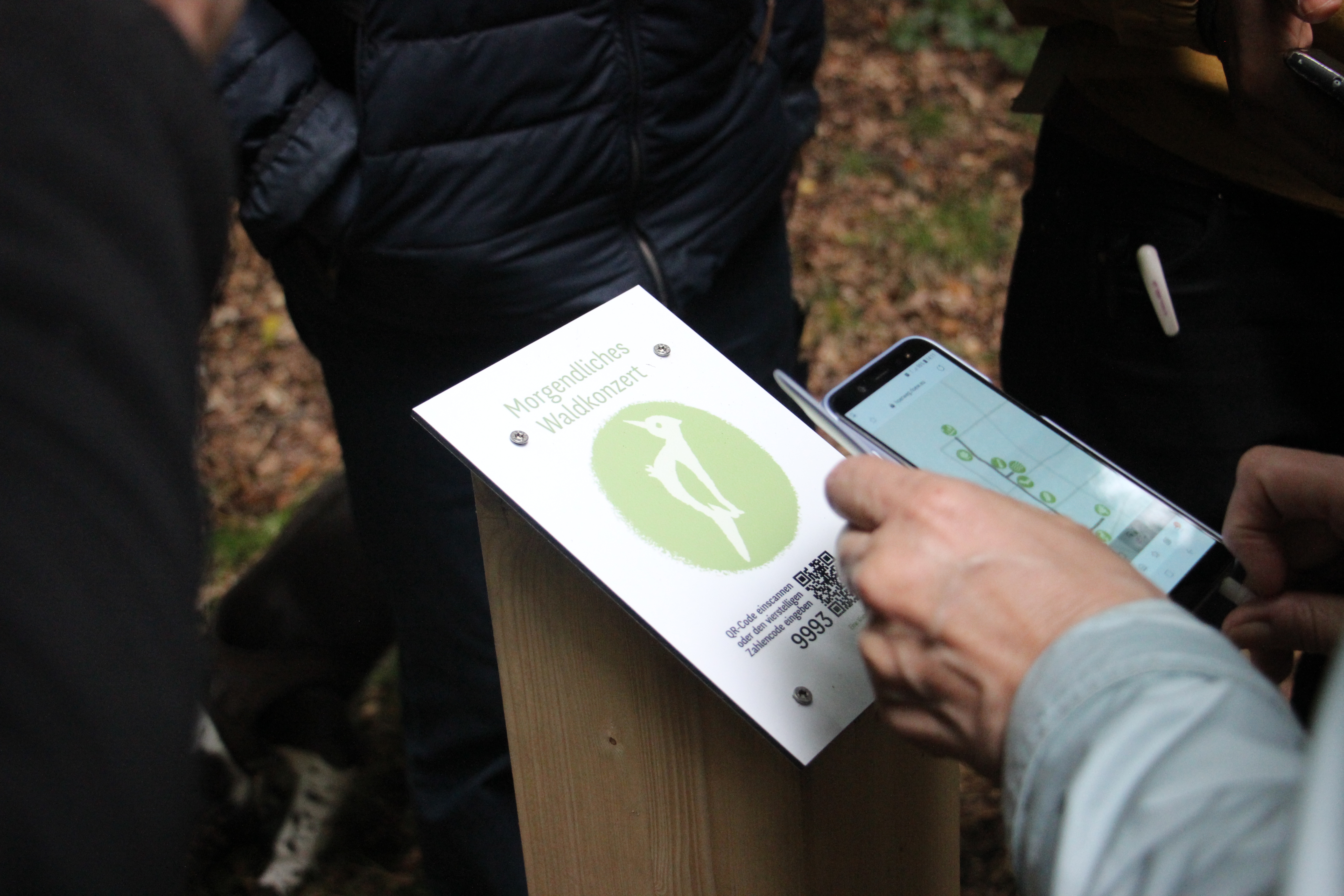 Eine Besucherin scannt den QR-Code der Hörstation „Morgendliches Waldkonzert“